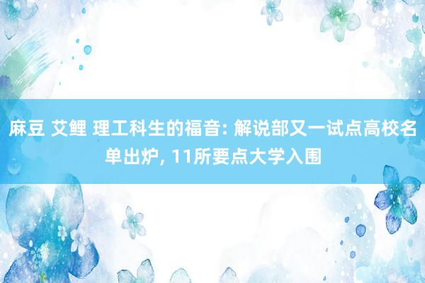 麻豆 艾鲤 理工科生的福音: 解说部又一试点高校名单出炉， 11所要点大学入围