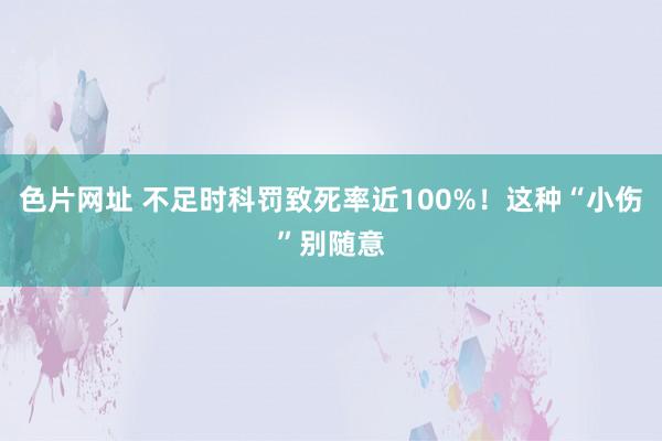 色片网址 不足时科罚致死率近100%!这种“小伤”别随意