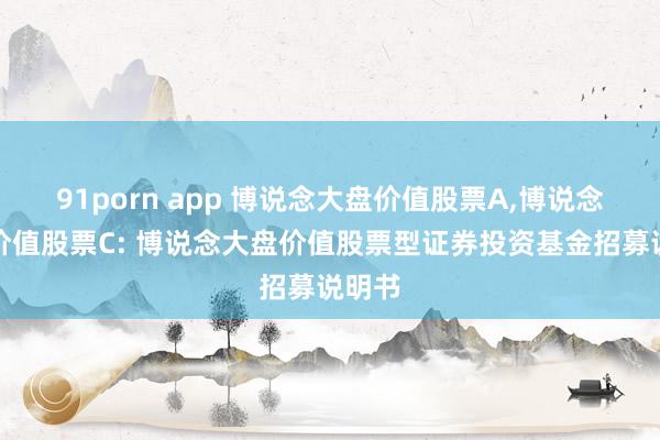 91porn app 博说念大盘价值股票A,博说念大盘价值股票C: 博说念大盘价值股票型证券投资基金招募说明书