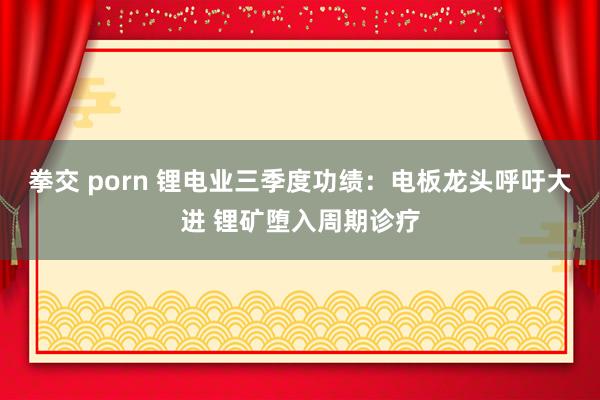 拳交 porn 锂电业三季度功绩：电板龙头呼吁大进 锂矿堕入周期诊疗