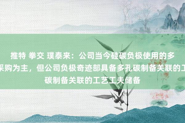 推特 拳交 璞泰来：公司当今硅碳负极使用的多孔碳除外部采购为主，但公司负极奇迹部具备多孔碳制备关联的工艺工夫储备