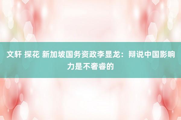文轩 探花 新加坡国务资政李显龙：辩说中国影响力是不奢睿的