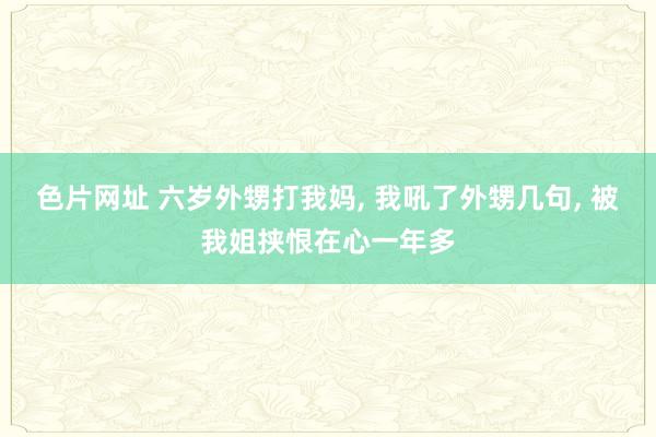 色片网址 六岁外甥打我妈， 我吼了外甥几句， 被我姐挟恨在心一年多
