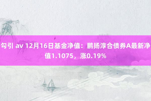 勾引 av 12月16日基金净值：鹏扬淳合债券A最新净值1.1075，涨0.19%