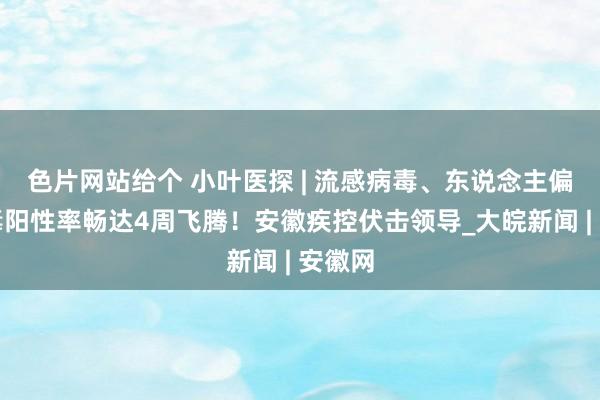 色片网站给个 小叶医探 | 流感病毒、东说念主偏肺病毒阳性率畅达4周飞腾！安徽疾控伏击领导_大皖新闻 | 安徽网
