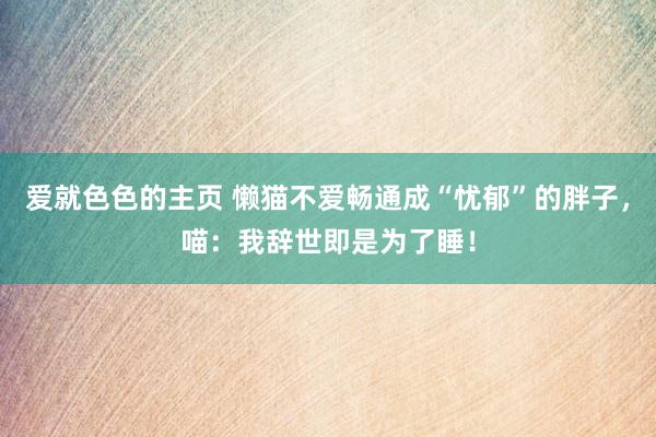 爱就色色的主页 懒猫不爱畅通成“忧郁”的胖子，喵：我辞世即是为了睡！