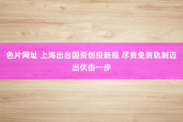 色片网址 上海出台国资创投新规 尽责免责轨制迈出伏击一步