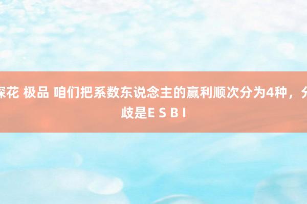 探花 极品 咱们把系数东说念主的赢利顺次分为4种,分歧是E S B I
