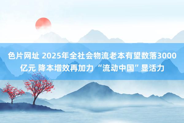 色片网址 2025年全社会物流老本有望数落3000亿元 降本增效再加力 “流动中国”显活力