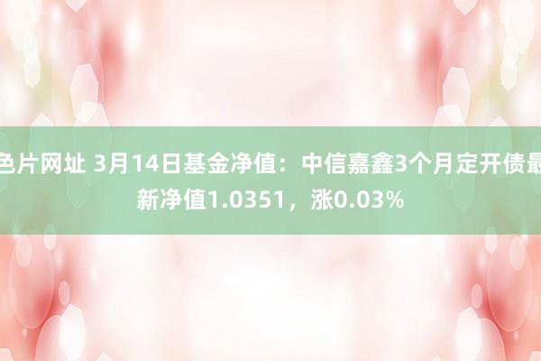 色片网址 3月14日基金净值：中信嘉鑫3个月定开债最新净值1.0351，涨0.03%