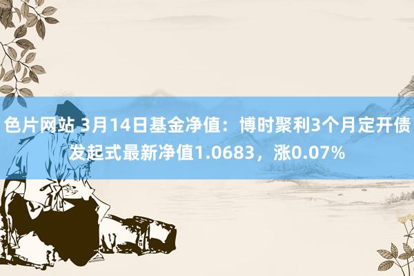 色片网站 3月14日基金净值：博时聚利3个月定开债发起式最新净值1.0683，涨0.07%