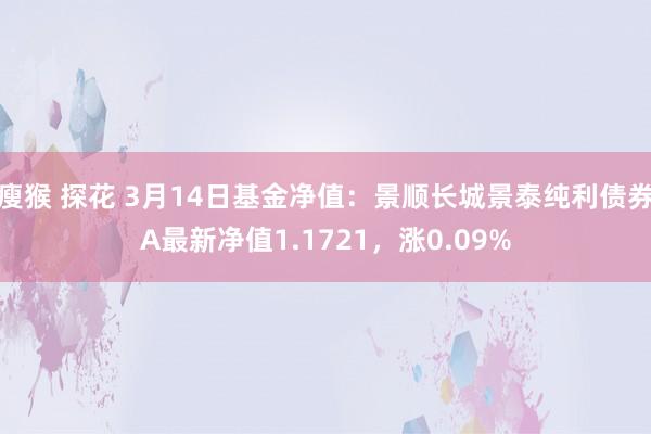 瘦猴 探花 3月14日基金净值：景顺长城景泰纯利债券A最新净值1.1721，涨0.09%
