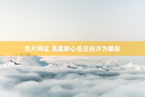 色片网址 高度醉心低空经济为哪般