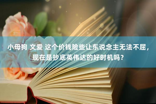 小母狗 文爱 这个价钱险些让东说念主无法不屈，现在是抄底英伟达的好时机吗？