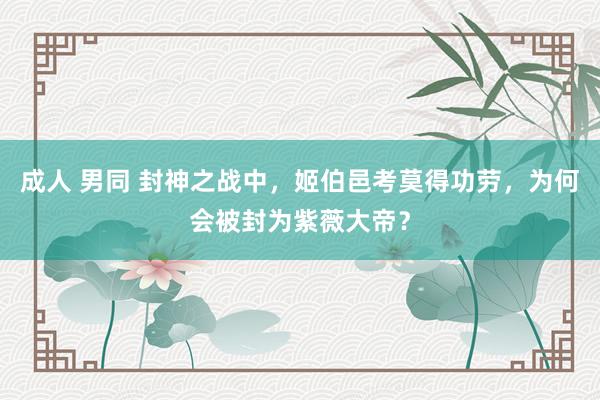 成人 男同 封神之战中，姬伯邑考莫得功劳，为何会被封为紫薇大帝？