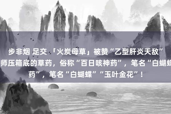 步非烟 足交 「火炭母草」被赞“乙型肝炎天敌”，70多万中医药师压箱底的草药，俗称“百日咳神药”，笔名“白蝴蝶”“玉叶金花”！