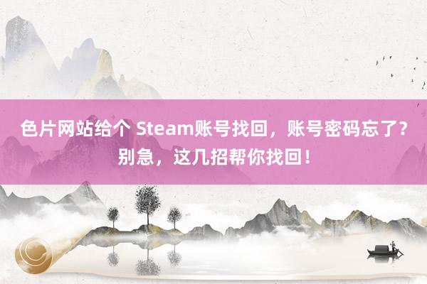 色片网站给个 Steam账号找回，账号密码忘了？别急，这几招帮你找回！