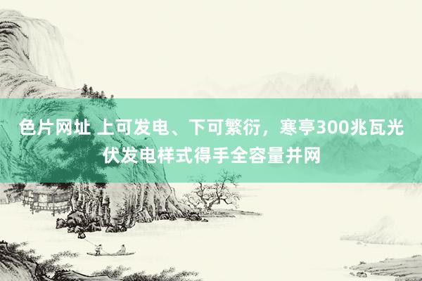色片网址 上可发电、下可繁衍，寒亭300兆瓦光伏发电样式得手全容量并网