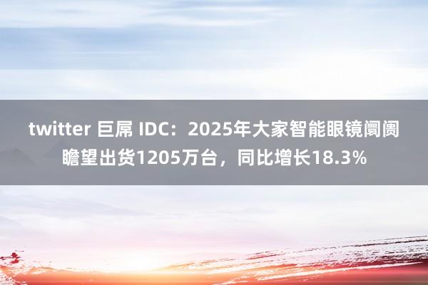twitter 巨屌 IDC：2025年大家智能眼镜阛阓瞻望出货1205万台，同比增长18.3%