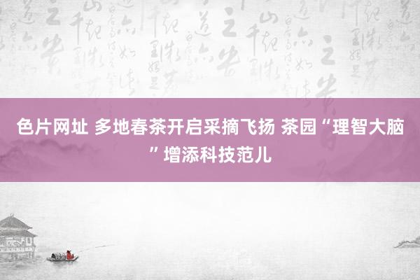 色片网址 多地春茶开启采摘飞扬 茶园“理智大脑”增添科技范儿