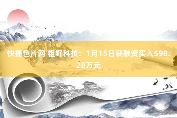 快播色片网 粗野科技：1月15日获融资买入598.28万元
