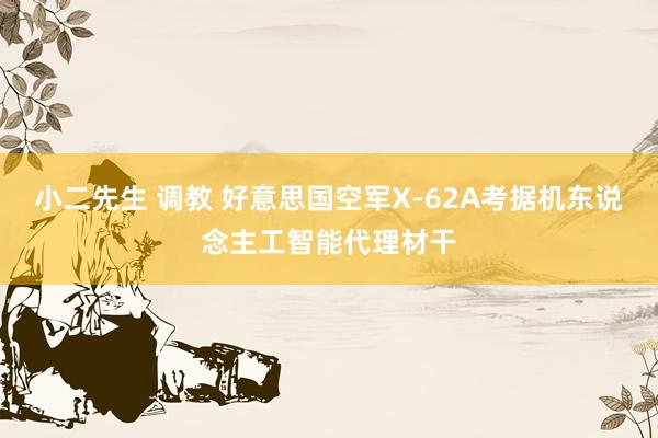 小二先生 调教 好意思国空军X-62A考据机东说念主工智能代理材干