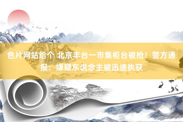 色片网站给个 北京丰台一市集柜台被抢！警方通报：嫌疑东说念主被迅速执获