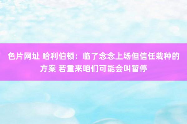 色片网址 哈利伯顿：临了念念上场但信任栽种的方案 若重来咱们可能会叫暂停