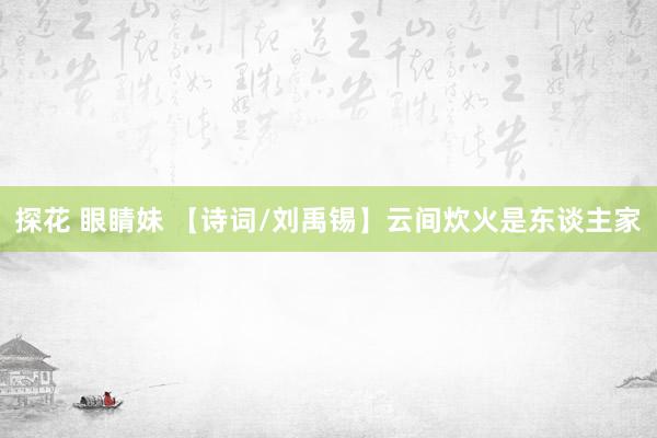 探花 眼睛妹 【诗词/刘禹锡】云间炊火是东谈主家