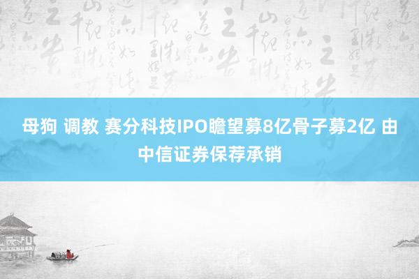 母狗 调教 赛分科技IPO瞻望募8亿骨子募2亿 由中信证券保荐承销