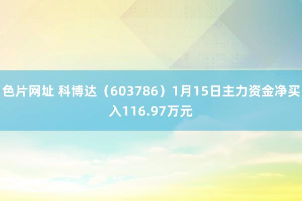 色片网址 科博达（603786）1月15日主力资金净买入116.97万元