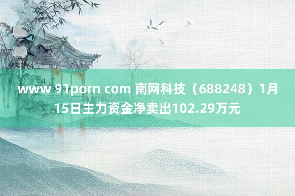 www 91porn com 南网科技（688248）1月15日主力资金净卖出102.29万元