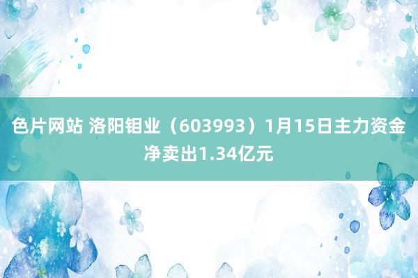色片网站 洛阳钼业（603993）1月15日主力资金净卖出1.34亿元
