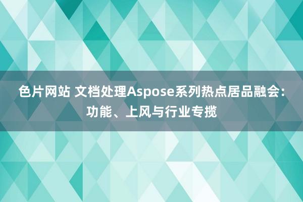 色片网站 文档处理Aspose系列热点居品融会：功能、上风与行业专揽