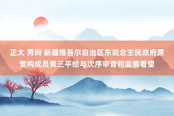 正太 男同 新疆维吾尔自治区东说念主民政府原党构成员黄三平给与次序审查和监察看望