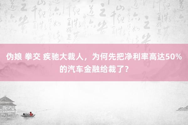 伪娘 拳交 疾驰大裁人，为何先把净利率高达50%的汽车金融给裁了？