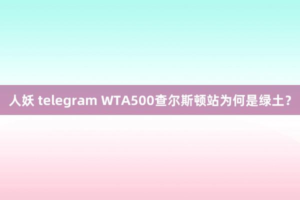人妖 telegram WTA500查尔斯顿站为何是绿土？