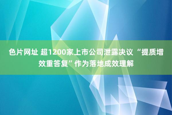 色片网址 超1200家上市公司泄露决议 “提质增效重答复”作为落地成效理解