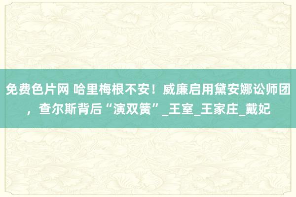 免费色片网 哈里梅根不安！威廉启用黛安娜讼师团，查尔斯背后“演双簧”_王室_王家庄_戴妃