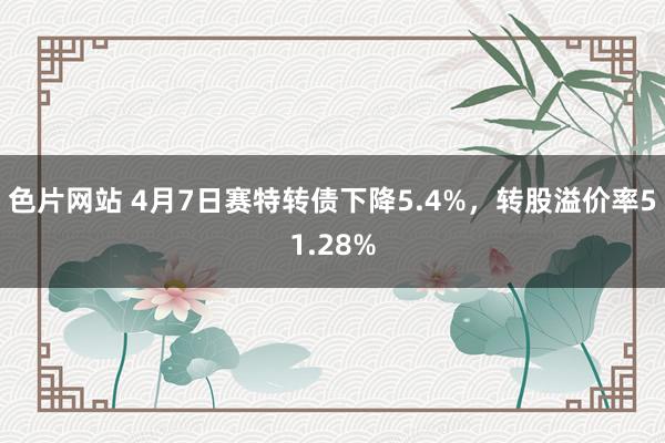 色片网站 4月7日赛特转债下降5.4%，转股溢价率51.28%