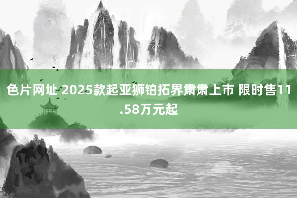 色片网址 2025款起亚狮铂拓界肃肃上市 限时售11.58万元起