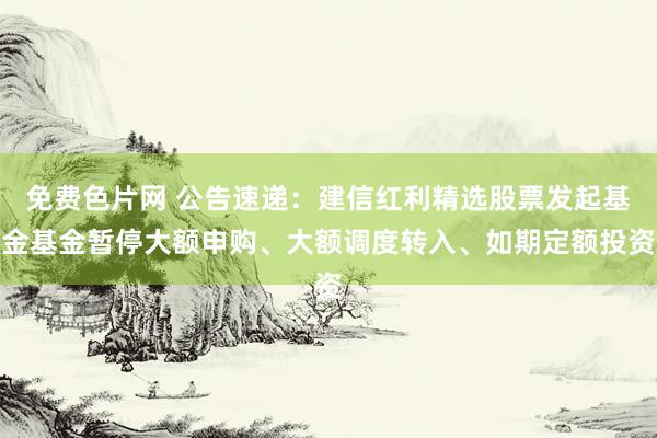 免费色片网 公告速递：建信红利精选股票发起基金基金暂停大额申购、大额调度转入、如期定额投资