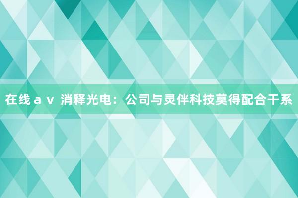 在线ａｖ 消释光电：公司与灵伴科技莫得配合干系