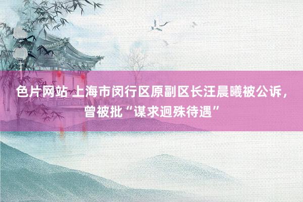 色片网站 上海市闵行区原副区长汪晨曦被公诉，曾被批“谋求迥殊待遇”