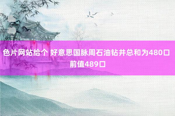 色片网站给个 好意思国脉周石油钻井总和为480口 前值489口