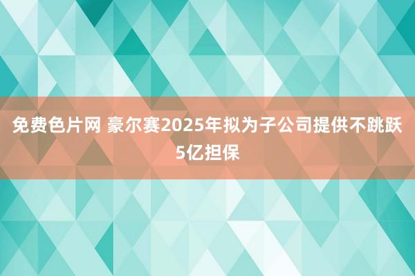 免费色片网 豪尔赛2025年拟为子公司提供不跳跃5亿担保