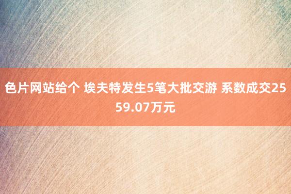 色片网站给个 埃夫特发生5笔大批交游 系数成交2559.07万元