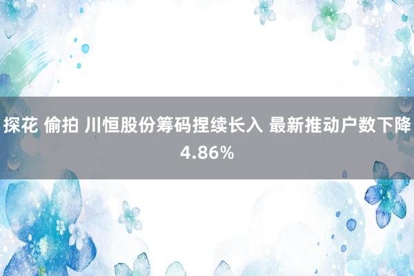 探花 偷拍 川恒股份筹码捏续长入 最新推动户数下降4.86%