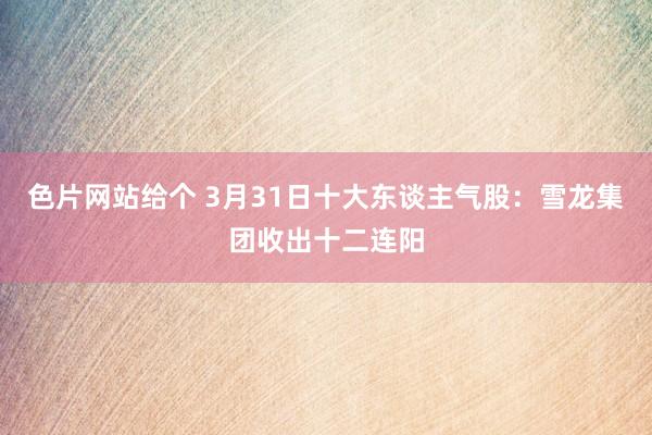 色片网站给个 3月31日十大东谈主气股：雪龙集团收出十二连阳