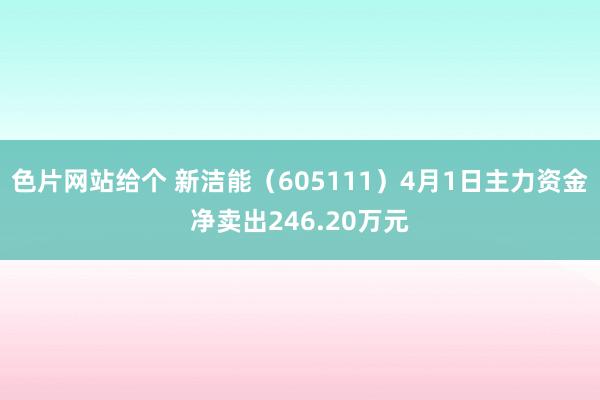 色片网站给个 新洁能（605111）4月1日主力资金净卖出246.20万元